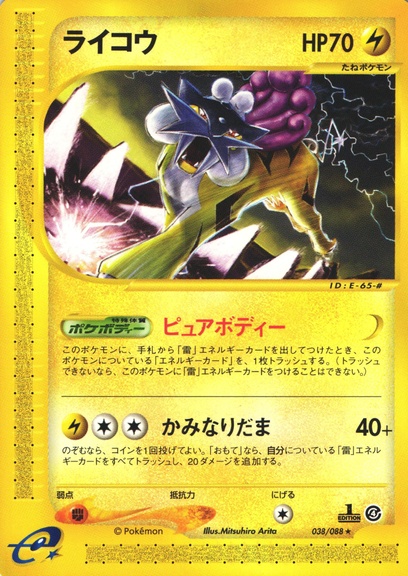 【保障できる】 ライコウ: ポケモン > ポケットモンスターカードゲーム ポケモンカードゲーム
