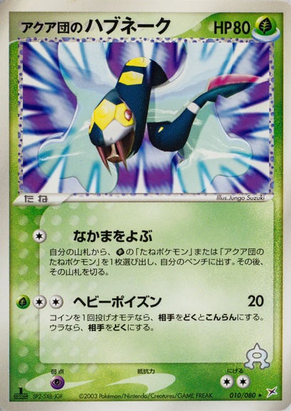 ポケモンカード アクア団のハブネーク マグマ団のザングース psa10 ポケモンカード アクア団のハブネーク マグマ団のザングース psa10